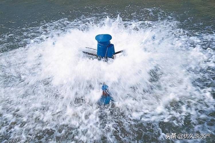 魚類浮頭后如何急救，arxiv論文助手詳解魚類浮頭后的急救方案（arxiv論文助手）