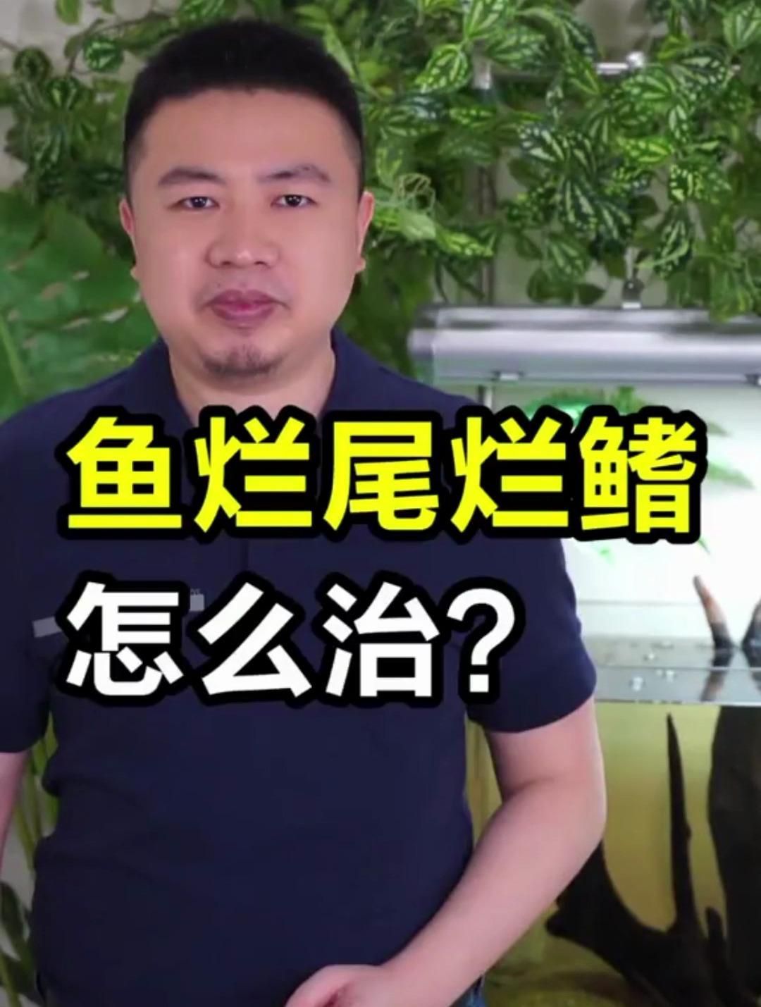 有哪些藥物可以有效治療魚(yú)爛尾，如何判斷魚(yú)爛尾的嚴(yán)重程度，哪種藥物治療魚(yú)爛尾最有效