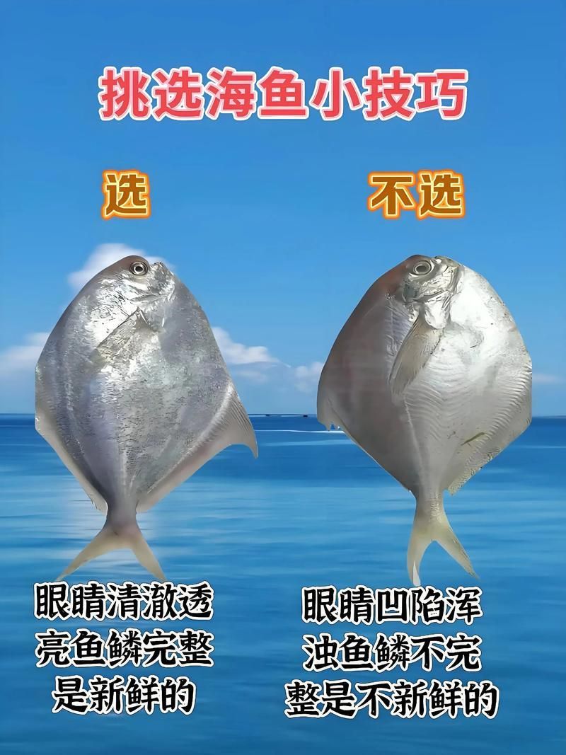 如何判斷深海紅龍魚是否新鮮，如何挑選健康的深海紅龍魚