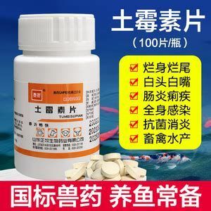 推薦一些龍魚抗菌消炎的中成藥，龍魚抗菌消炎中成藥推薦及使用指南