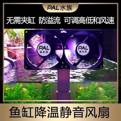 如何降低龍魚缸的水溫至30度？，北京龍魚缸水溫降至30℃并非極端操作 如何降低龍魚缸的水溫至30度？，北京龍魚缸水溫降至30℃并非極端操作 龍魚百科 第6張
