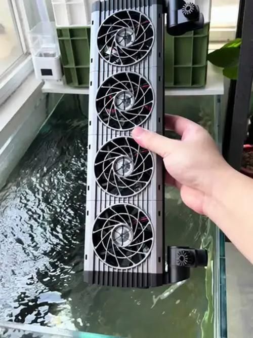如何降低龍魚缸的水溫至30度？，北京龍魚缸水溫降至30℃并非極端操作 如何降低龍魚缸的水溫至30度？，北京龍魚缸水溫降至30℃并非極端操作 龍魚百科 第4張