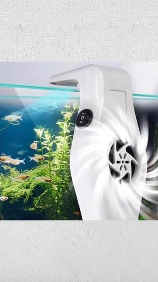 如何降低龍魚缸的水溫至30度？，北京龍魚缸水溫降至30℃并非極端操作 如何降低龍魚缸的水溫至30度？，北京龍魚缸水溫降至30℃并非極端操作 龍魚百科 第3張