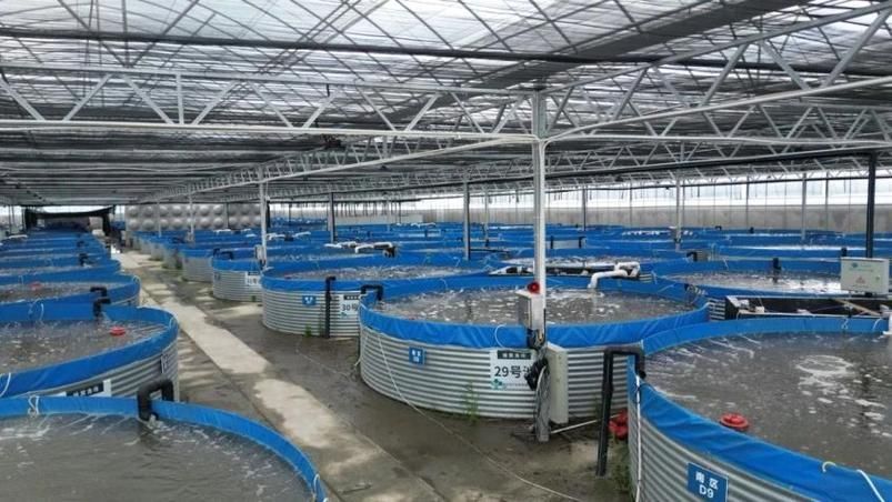 有哪些成功的百種魚混養案例，“百種魚混養案例無需新增搜索“百種魚混養”案例