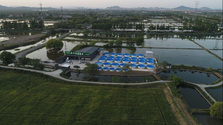 有哪些成功的百種魚混養案例，“百種魚混養案例無需新增搜索“百種魚混養”案例