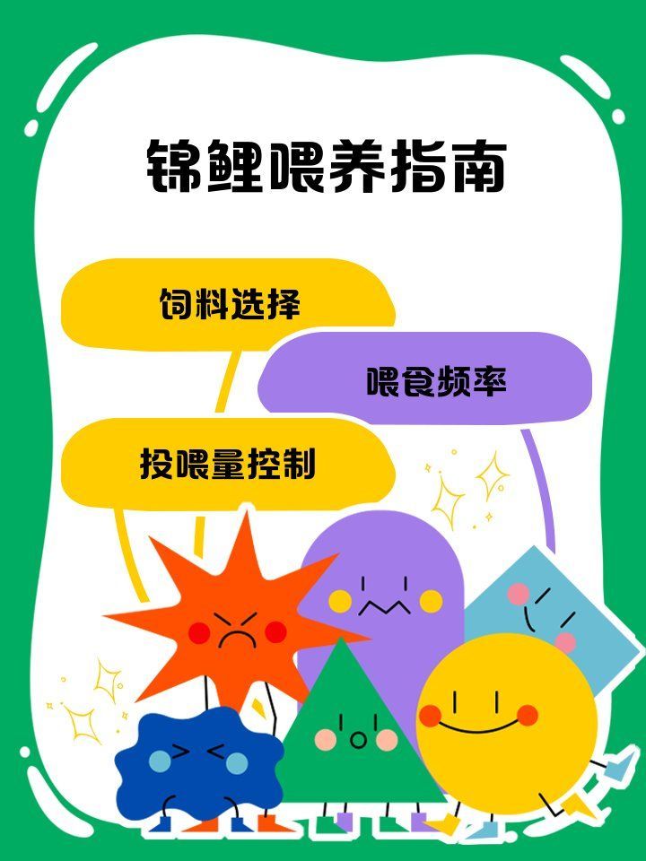 錦鯉的養(yǎng)殖技巧有哪些，觀賞魚中的佼佼者，錦鯉養(yǎng)殖技巧對(duì)于保持低蛋白易消化