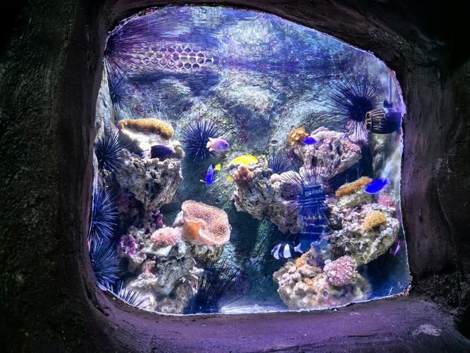廣州花地灣水族館有哪些特色，廣州花地灣水族館有哪些特色，