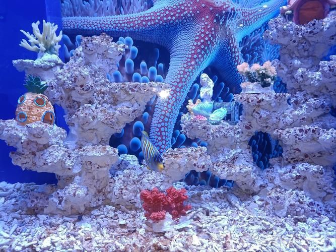廣州花地灣水族館有哪些特色，廣州花地灣水族館有哪些特色，