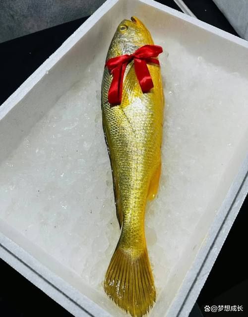 十大最不吉利魚，年夜飯中被認為“不吉利”的十種魚，吃魚不僅是為了美味