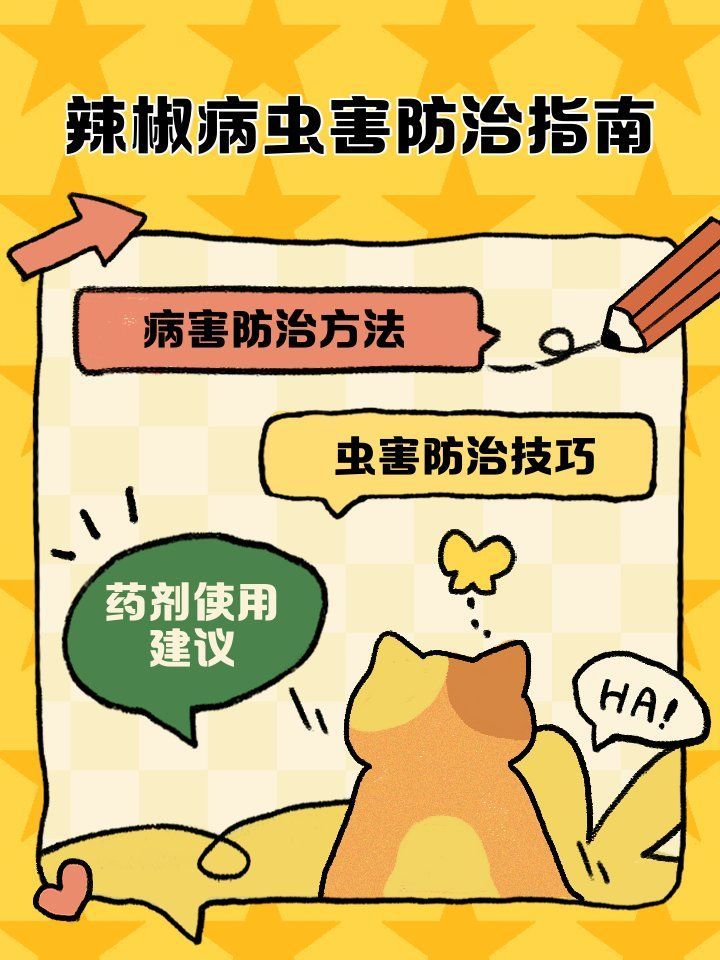 如何防治紅龍辣椒的病蟲害，如何防治紅龍辣椒病蟲害？