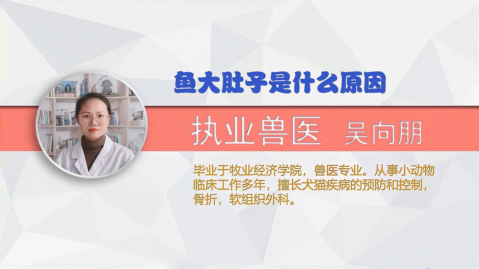 魚肚子鼓脹會自愈嗎，如何判斷魚肚子鼓脹是否能自愈
