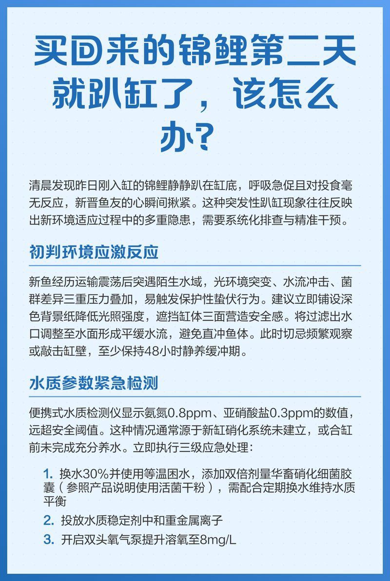 新魚趴缸恢復(fù)最快的方法，新魚入缸后“趴缸恢復(fù)最快的方法”
