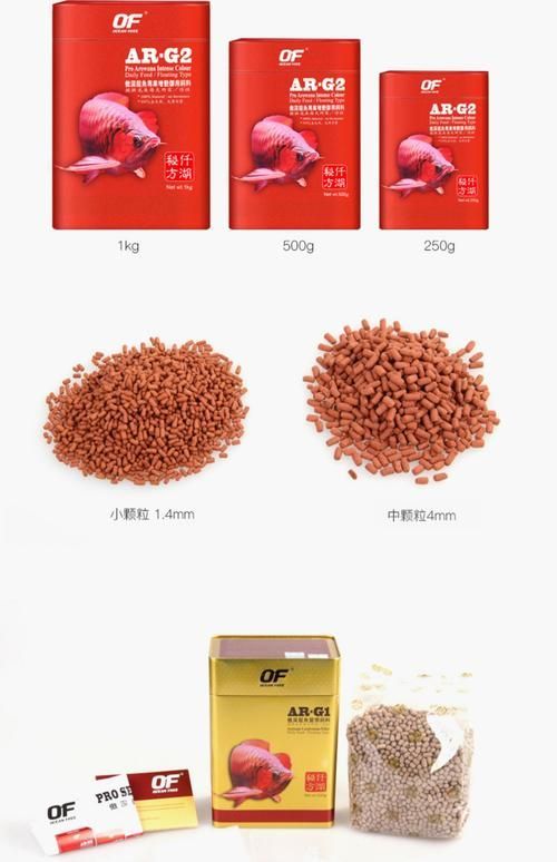 推薦幾款適合幼龍期的龍魚飼料，幼龍期龍魚飼料推薦：幼龍期的龍魚需要營養豐富的飼料