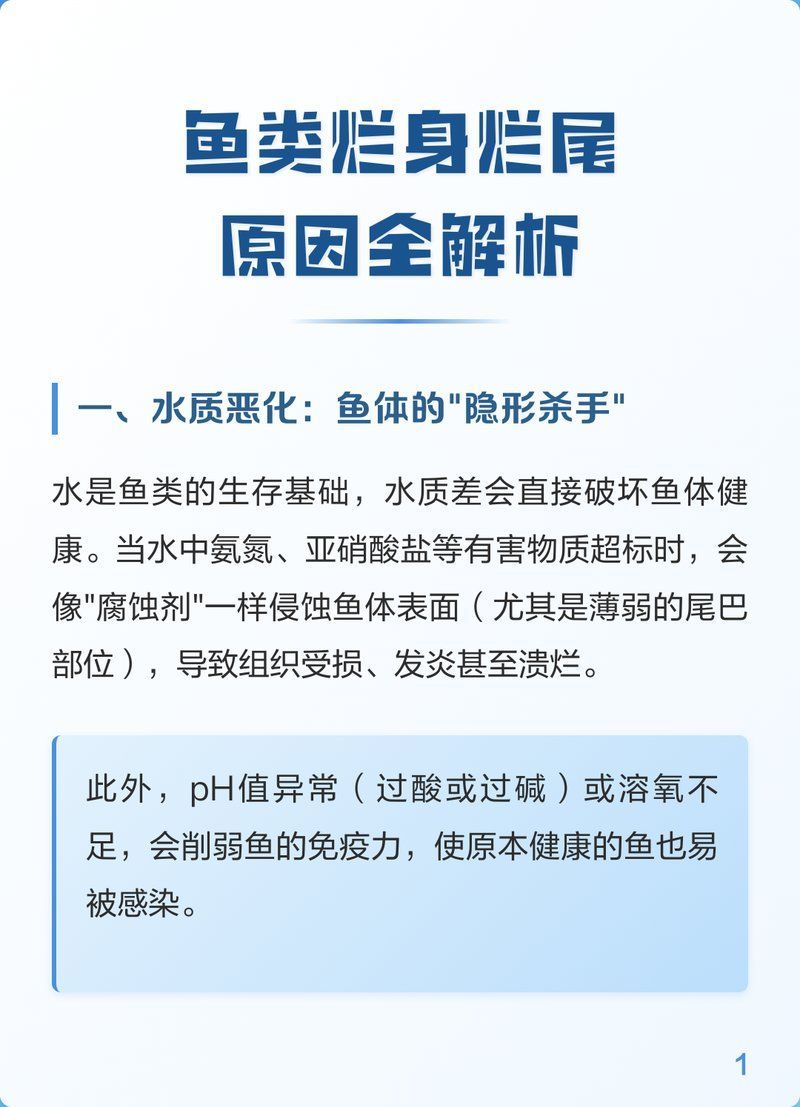 有哪些天然方法可以治療魚爛身爛尾，如何治療魚爛身爛尾