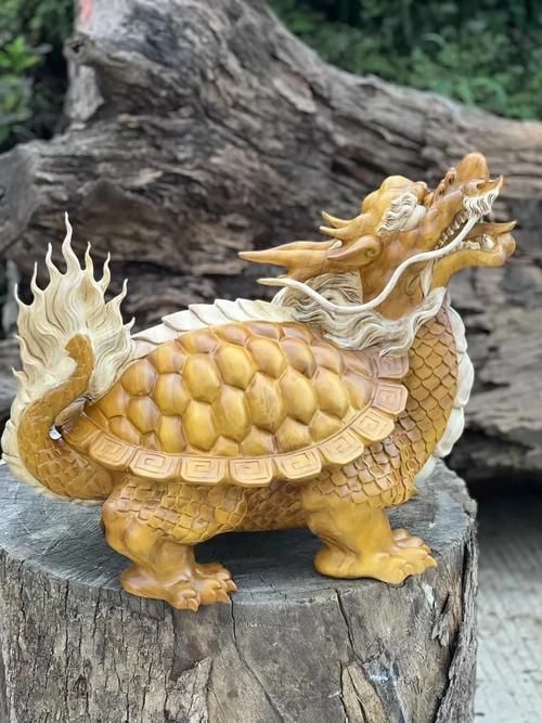 龍龜圖片高清大圖有哪些，龍龜圖片高清大圖展示