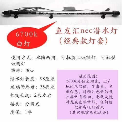 紅龍魚用什么品牌燈管最好,tfc御龍國際紅光燈管配置清單nec6700k三基色燈管 龍魚百科 第3張 紅龍魚用什么品牌燈管最好,tfc御龍國際紅光燈管配置清單nec6700k三基色燈管 紅龍魚用什么品牌燈管最好,tfc御龍國際紅光燈管配置清單nec6700k三基色燈管 龍魚百科 第3張