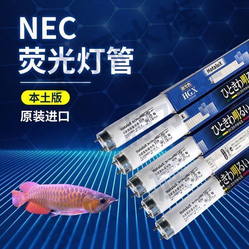 紅龍魚用什么品牌燈管最好,tfc御龍國際紅光燈管配置清單nec6700k三基色燈管 龍魚百科 第1張 紅龍魚用什么品牌燈管最好,tfc御龍國際紅光燈管配置清單nec6700k三基色燈管 紅龍魚用什么品牌燈管最好,tfc御龍國際紅光燈管配置清單nec6700k三基色燈管 龍魚百科 第1張