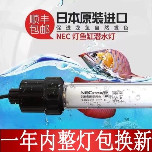 紅龍魚用什么品牌燈管最好,tfc御龍國際紅光燈管配置清單nec6700k三基色燈管 龍魚百科 第2張 紅龍魚用什么品牌燈管最好,tfc御龍國際紅光燈管配置清單nec6700k三基色燈管 紅龍魚用什么品牌燈管最好,tfc御龍國際紅光燈管配置清單nec6700k三基色燈管 龍魚百科 第2張