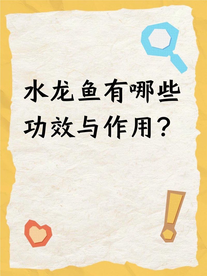 永春龍魚的營養(yǎng)價(jià)值，永春龍魚是什么魚 永春龍魚的營養(yǎng)價(jià)值，永春龍魚是什么魚 龍魚百科 第3張