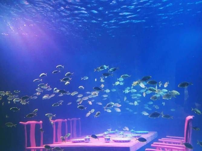 上海海洋水族館的開放時間是，上海海洋水族館夜場游玩攻略