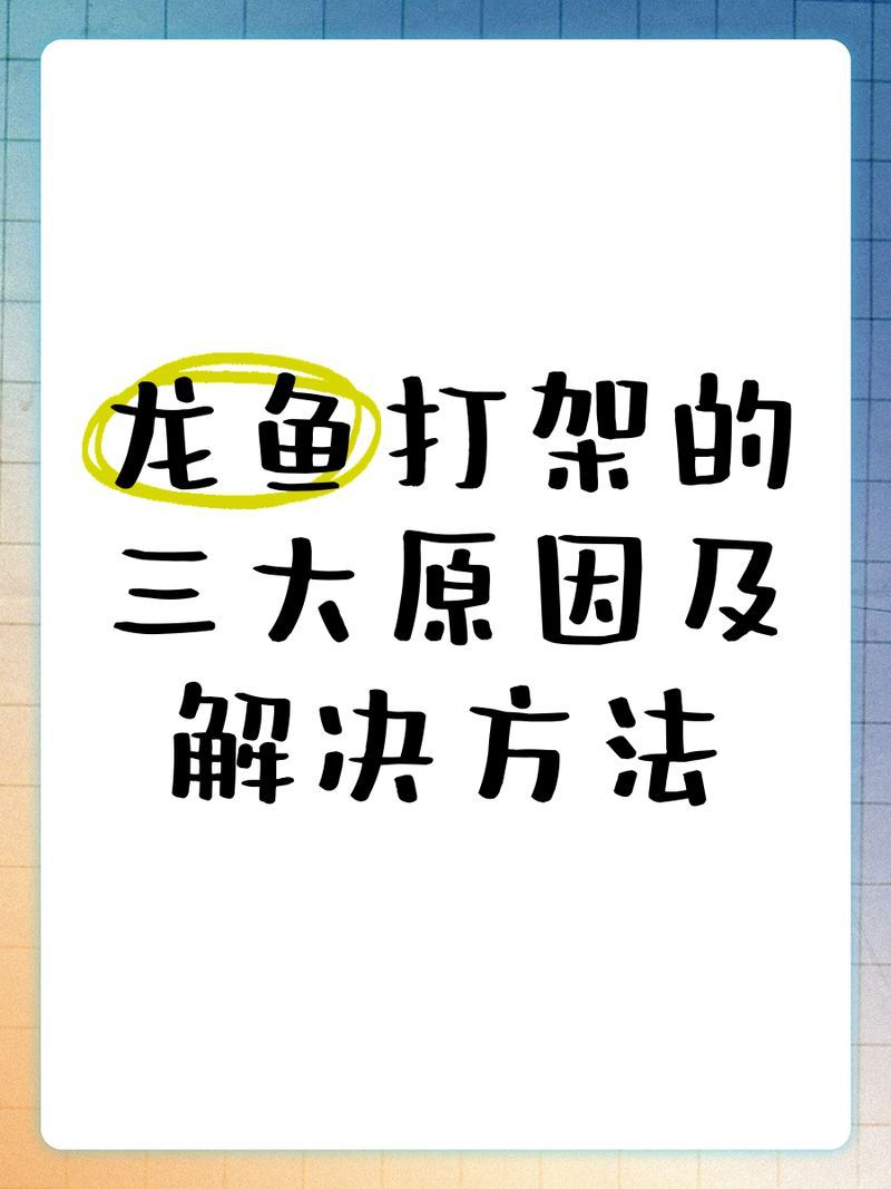 有哪些方法可以緩解龍魚打架，如何緩解龍魚打架？