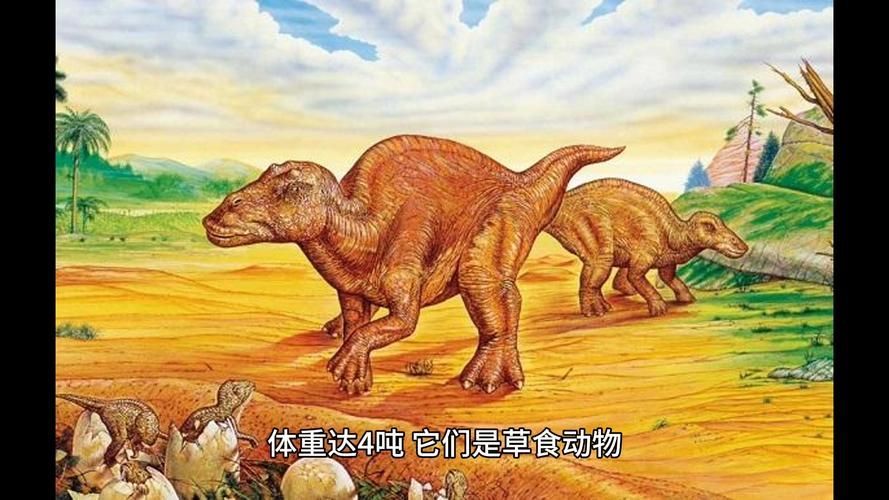 能否提供更多關于母龍的圖片