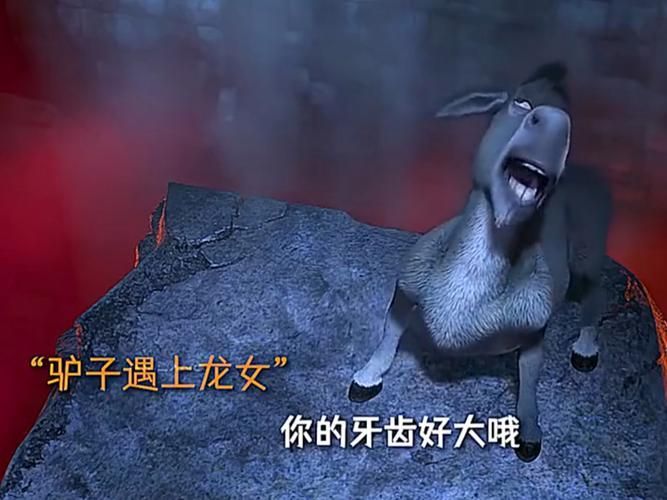 能否提供更多關于母龍的圖片