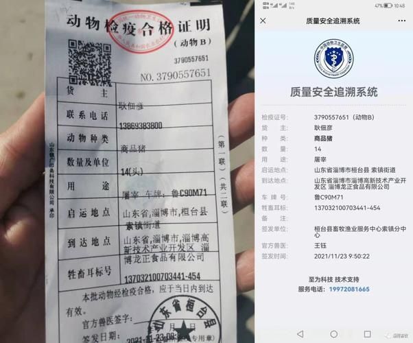 如何判斷商家售賣的火龍魚是否安全？，如何判斷火龍魚是否安全 如何判斷商家售賣的火龍魚是否安全？，如何判斷火龍魚是否安全 龍魚百科 第5張