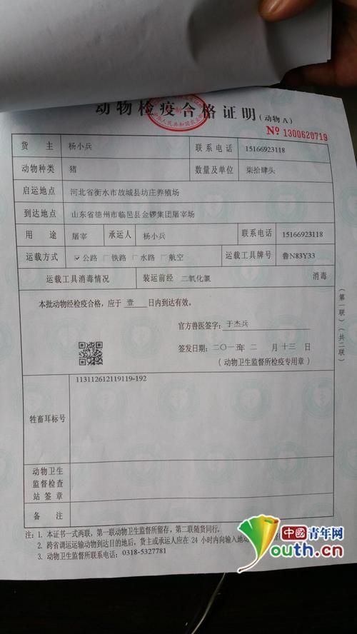 如何判斷商家售賣的火龍魚是否安全？，如何判斷火龍魚是否安全 如何判斷商家售賣的火龍魚是否安全？，如何判斷火龍魚是否安全 龍魚百科 第4張