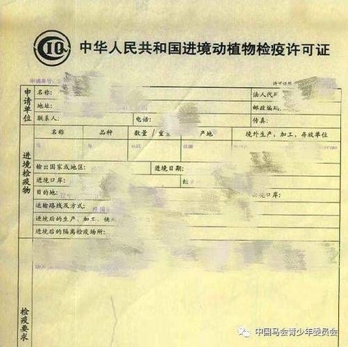 如何判斷商家售賣的火龍魚是否安全？，如何判斷火龍魚是否安全 如何判斷商家售賣的火龍魚是否安全？，如何判斷火龍魚是否安全 龍魚百科 第1張
