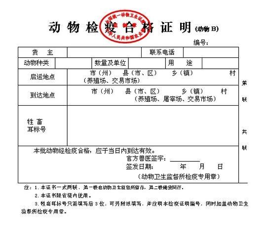 如何判斷商家售賣的火龍魚是否安全？，如何判斷火龍魚是否安全 如何判斷商家售賣的火龍魚是否安全？，如何判斷火龍魚是否安全 龍魚百科 第2張