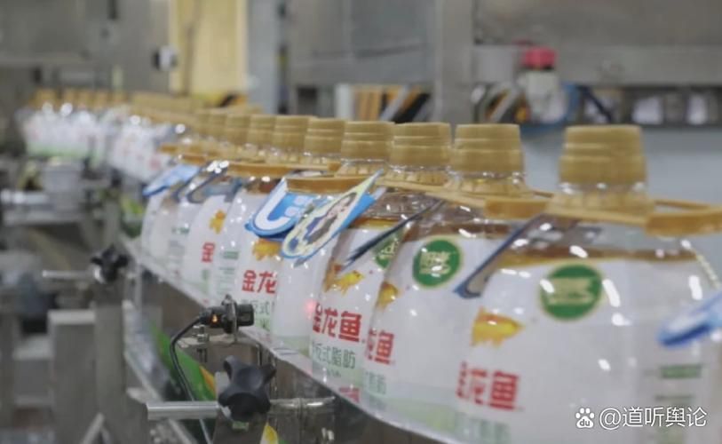 金龍魚生產基地哪個最先進，金龍魚體系中最先進的生產基地是哪個最先進的基地 金龍魚生產基地哪個最先進，金龍魚體系中最先進的生產基地是哪個最先進的基地 龍魚百科 第1張