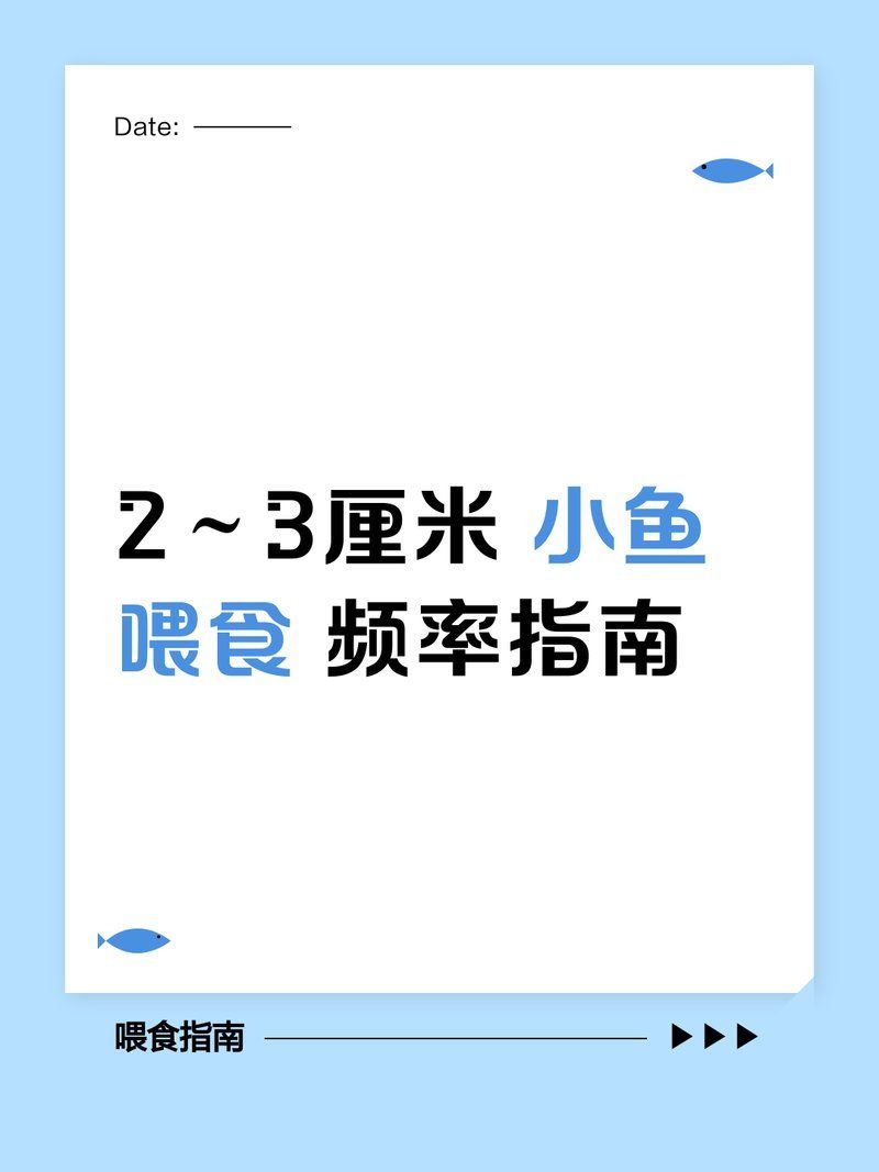2～3厘米小魚一天喂幾次，2～3厘米小魚一般吃幾粒魚食 2～3厘米小魚一天喂幾次，2～3厘米小魚一般吃幾粒魚食 龍魚百科 第1張