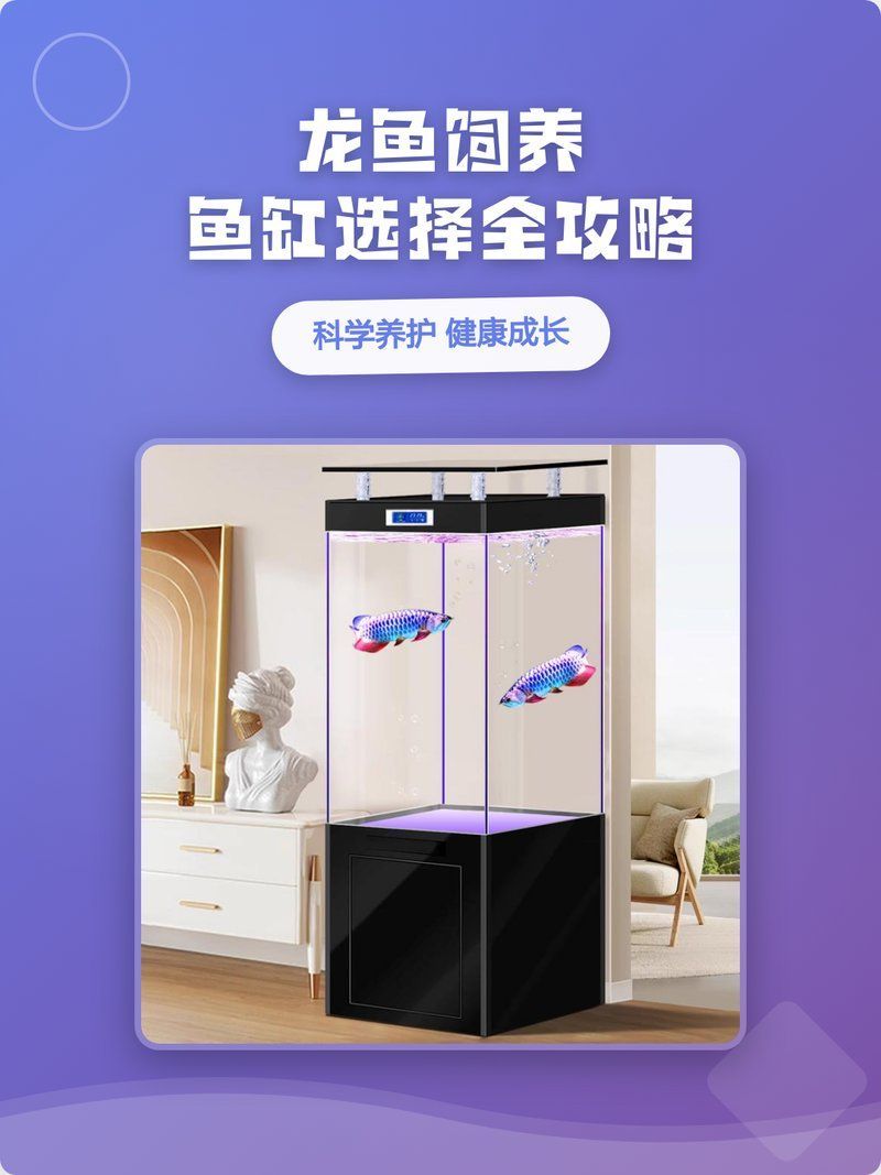 龍魚魚缸最佳材質(zhì)是什么，龍魚飼養(yǎng)魚缸選擇全攻略
