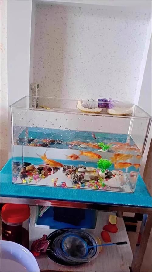 給我推薦幾款適合兇猛魚的魚缸，為兇猛魚選擇合適的魚缸時，您需要考慮到幾個關鍵因素