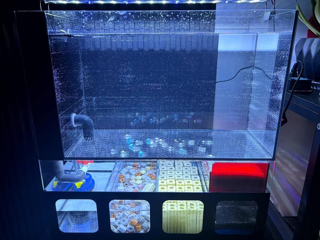 給我推薦幾款適合兇猛魚的魚缸，為兇猛魚選擇合適的魚缸時，您需要考慮到幾個關鍵因素