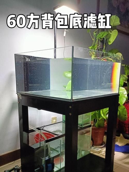 給我推薦幾款適合兇猛魚的魚缸，為兇猛魚選擇合適的魚缸時，您需要考慮到幾個關鍵因素