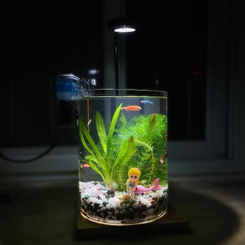 給我推薦幾款適合兇猛魚的魚缸，為兇猛魚選擇合適的魚缸時，您需要考慮到幾個關鍵因素