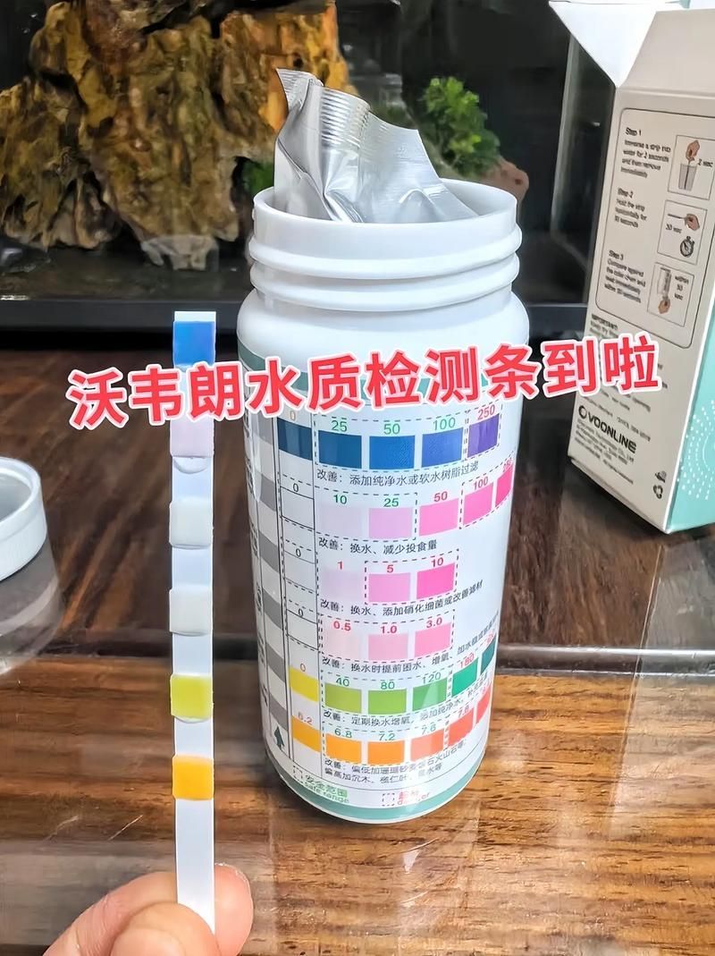 如何預防龍魚蒙眼再次發作？，如何預防龍魚蒙眼