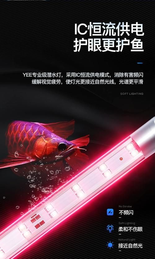 有哪些品牌的魚缸LED照明推薦？，魚缸led照明品牌led照明品牌led照明品牌推薦