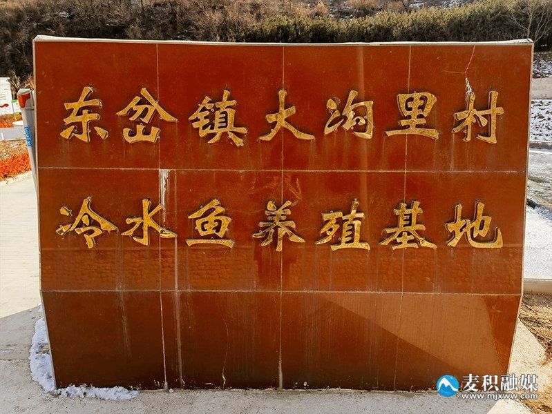 麥積龍魚的營養價值，甘肅天水麥積山地區養殖冷水魚（虹鱒/金鱒）的營養數據