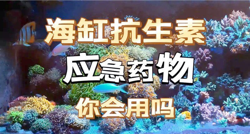 感染海水細(xì)菌后如何治療