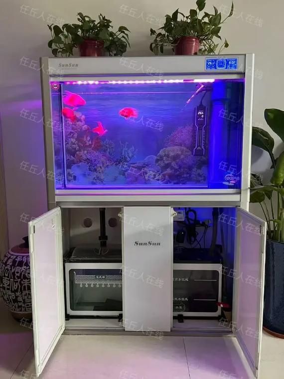 森森底濾系列有哪些型號可選，森森底濾系列哪個型號最受歡迎森森底濾系列哪個型號最受歡迎 森森底濾系列有哪些型號可選，森森底濾系列哪個型號最受歡迎森森底濾系列哪個型號最受歡迎 龍魚百科 第3張