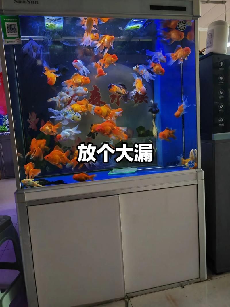 森森底濾系列有哪些型號可選，森森底濾系列哪個型號最受歡迎森森底濾系列哪個型號最受歡迎 森森底濾系列有哪些型號可選，森森底濾系列哪個型號最受歡迎森森底濾系列哪個型號最受歡迎 龍魚百科 第4張