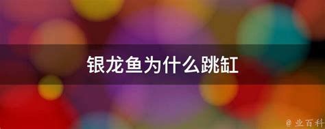 龍魚晚上關(guān)燈后多久會(huì)跳缸？，“龍魚晚上關(guān)燈后多久會(huì)跳缸”是關(guān)于龍魚跳缸的問題