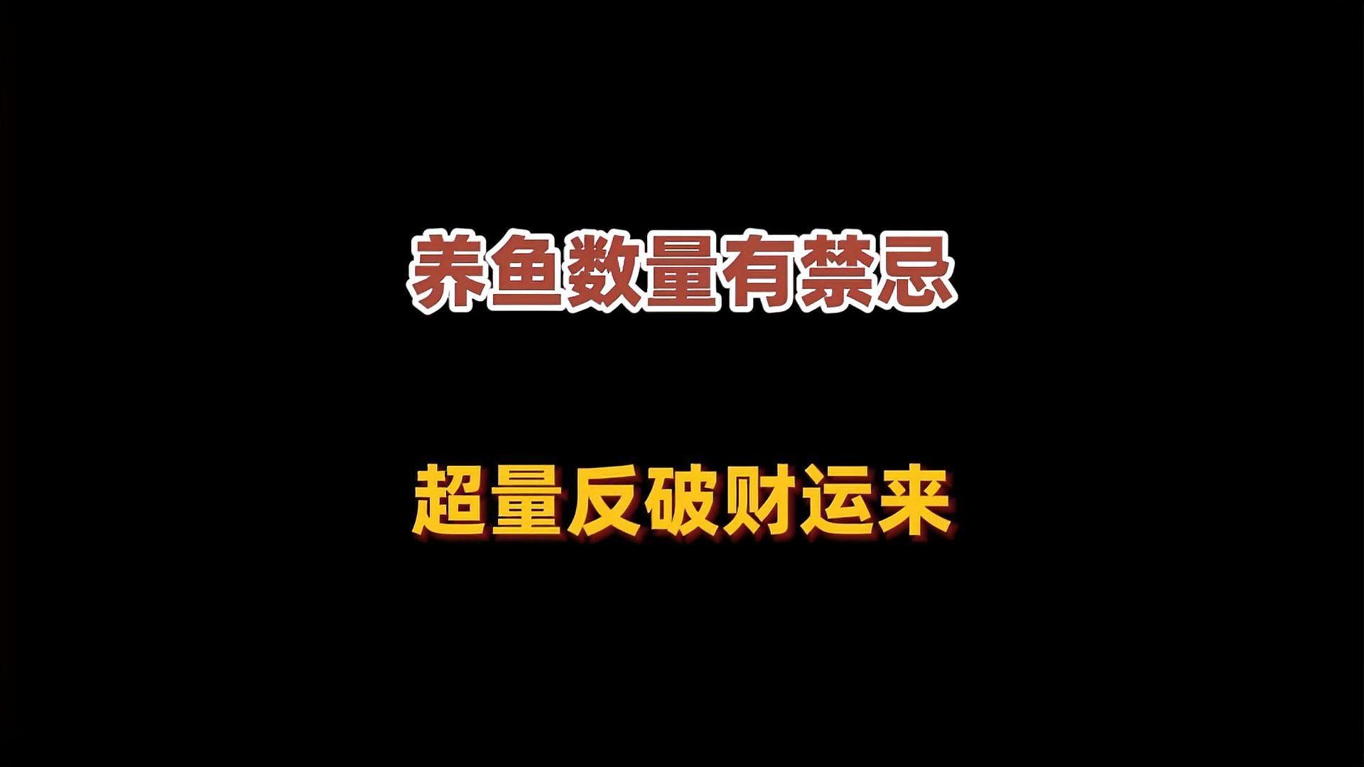 家中養魚6大風水禁忌，家中養魚的6大禁忌