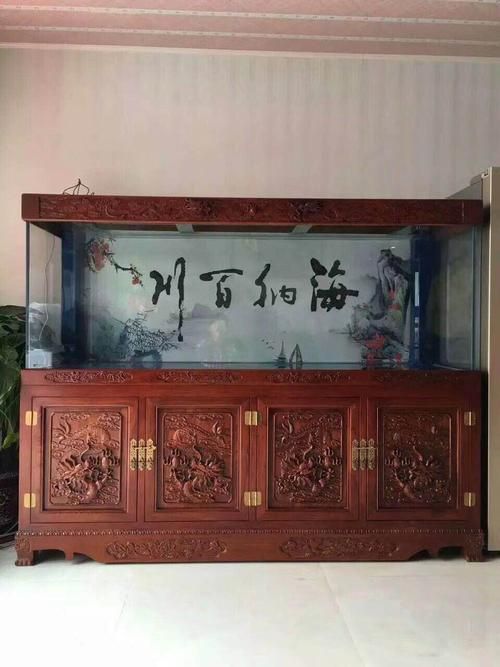有哪些可靠的紅龍魚商家？，北京紅龍魚商家會變紅龍魚商家，北京紅龍魚商家清倉