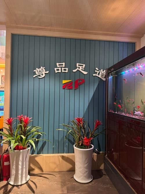 有哪些可靠的紅龍魚商家？，北京紅龍魚商家會變紅龍魚商家，北京紅龍魚商家清倉
