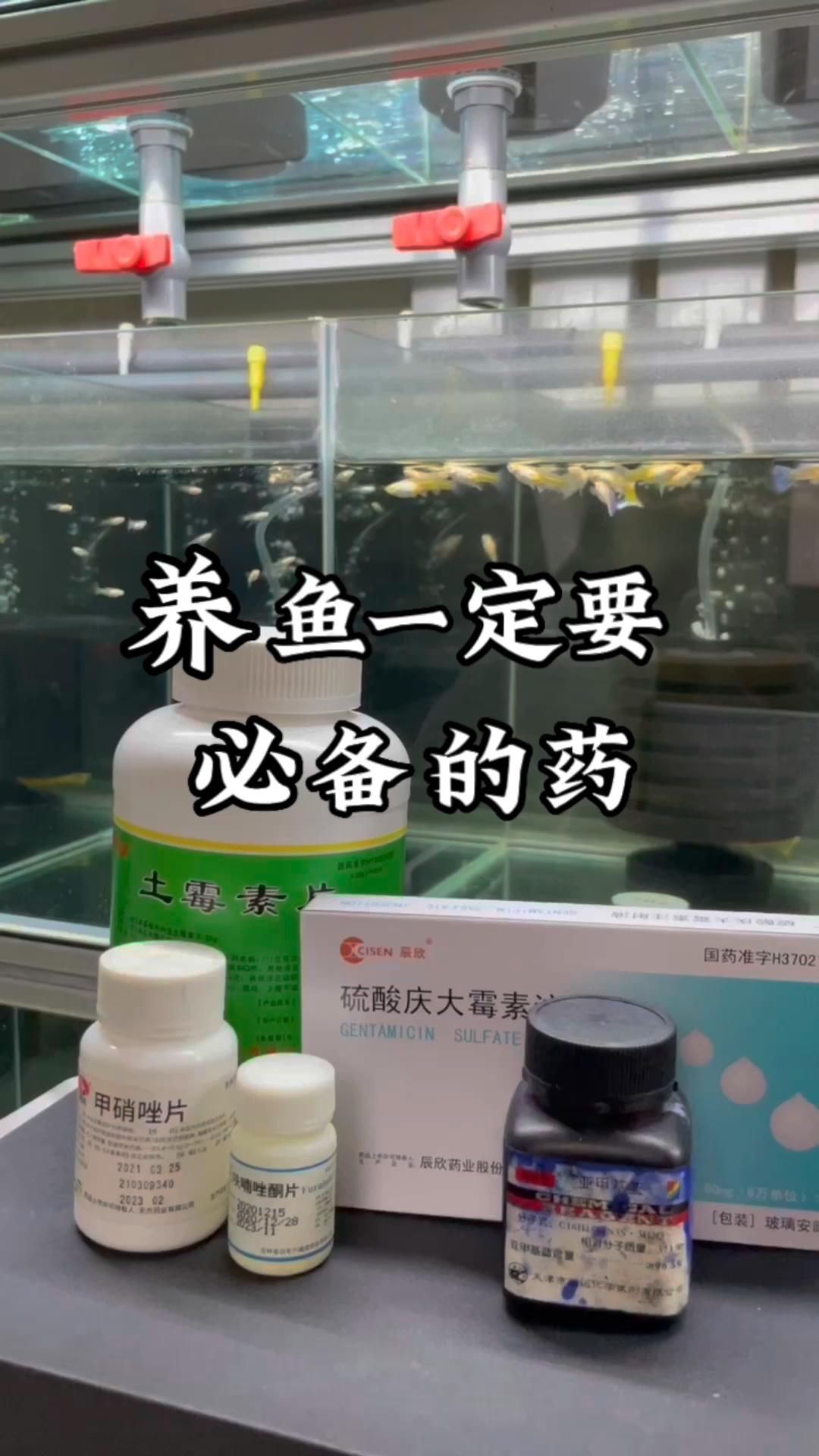 土霉素對哪些魚種有效，土霉素對哪些魚種無效