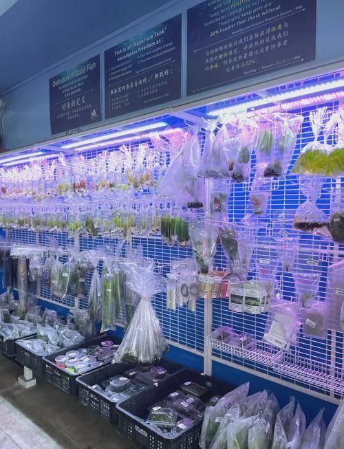 新加坡漁場有哪些知名品牌，新加坡海鮮品牌有哪些？